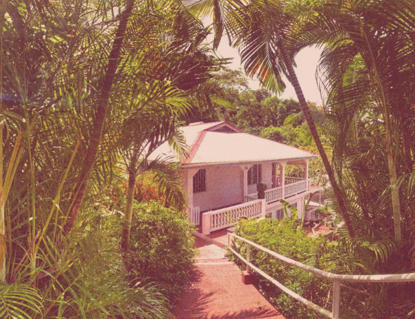 dee044b1-97c0-4424-b530-afd60708fc09 copy